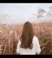 狮子座男人配双鱼座女不合（最降得住狮子座的星座）