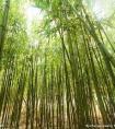 双鱼男和天秤女生一年不下床（老双鱼男）