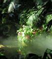 天秤男配水瓶坐女生配对（天秤座水瓶座配对指数）